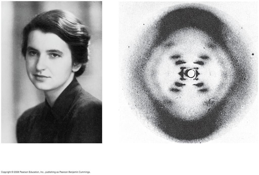 1950 Wilkins and Franklin DNA X-rays (a) Rosalind