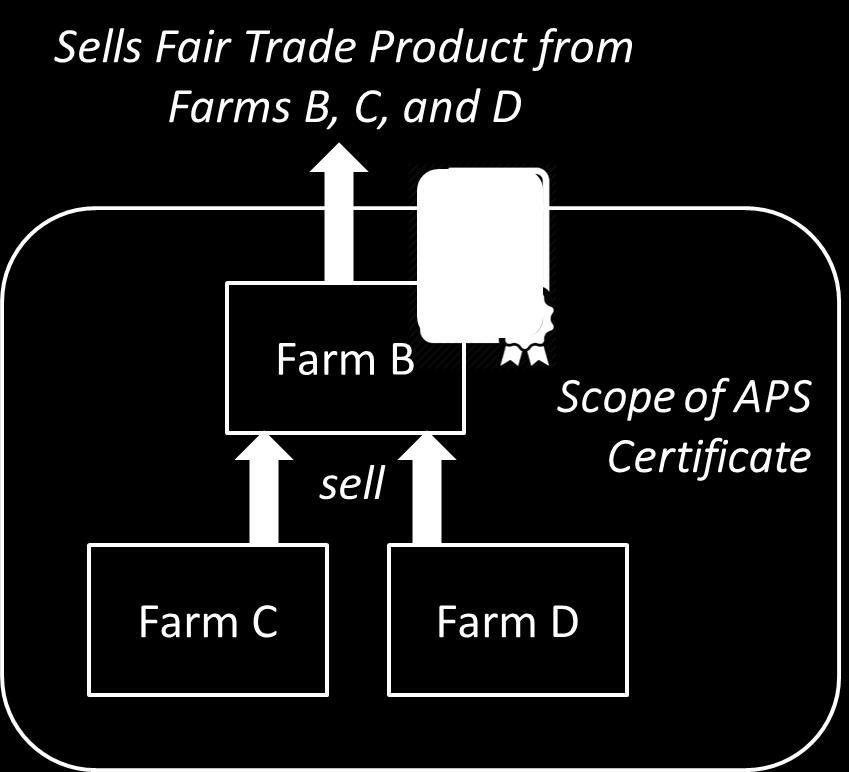 In the example below, Farm B grows, harvests, and packs its own coconuts, and also buys coconuts from farms C and D.