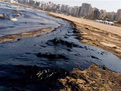 , oil and chemical spills, red tide ) Natural disasters (e.g.