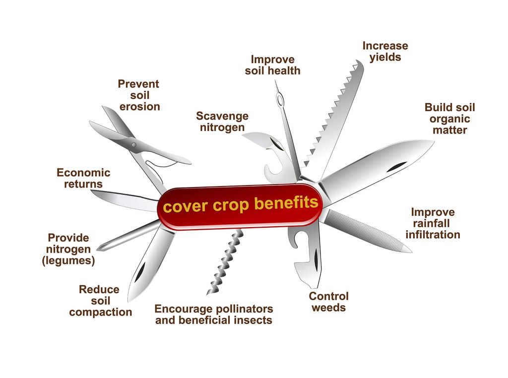 Why plant cover crops?