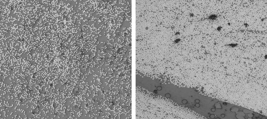 45 300x 300x Figure 19 Microscope images showing low fiber content in the radius transition (left) and high fiber content in the flange center (right) (image courtesy of Toray Carbon Fibers America,