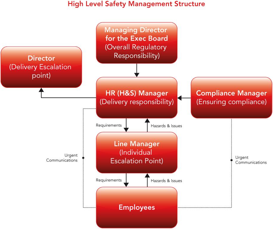 Organisation and Responsibilities - Who has to do what (including all employees) Comms-care s Health and Safety structure is depicted in the diagram below.