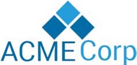ACME CORPORATION STRATEGIC PLAN 2014