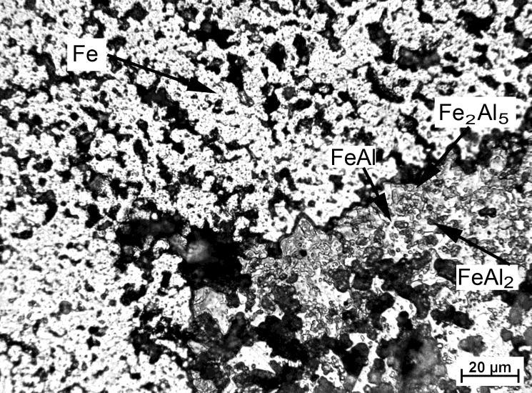 Fig.3: Microstructure of FeAl25 alloy produced by reactive sintering at 800 C for 300 s. 4.