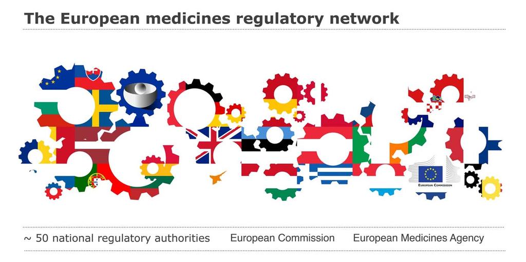 The European medicines regulatory network Closely-coordinated regulatory network of national competent authorities (~50) in the Member States of the European
