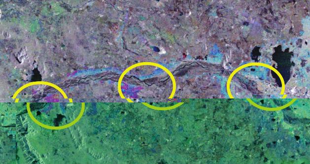 Ground survey points overlaid on Sentinel-1 data for Punjab State Classified image in sample