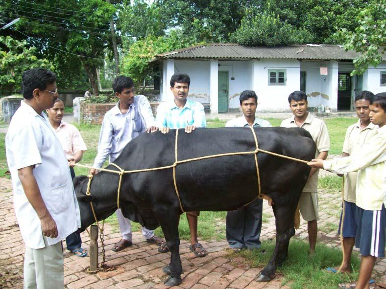 Dairy Activity The Animal Husbandry (AH) Unit is one of the important units of ATC/SAMETI for its Training- Demonstration Extension Services.