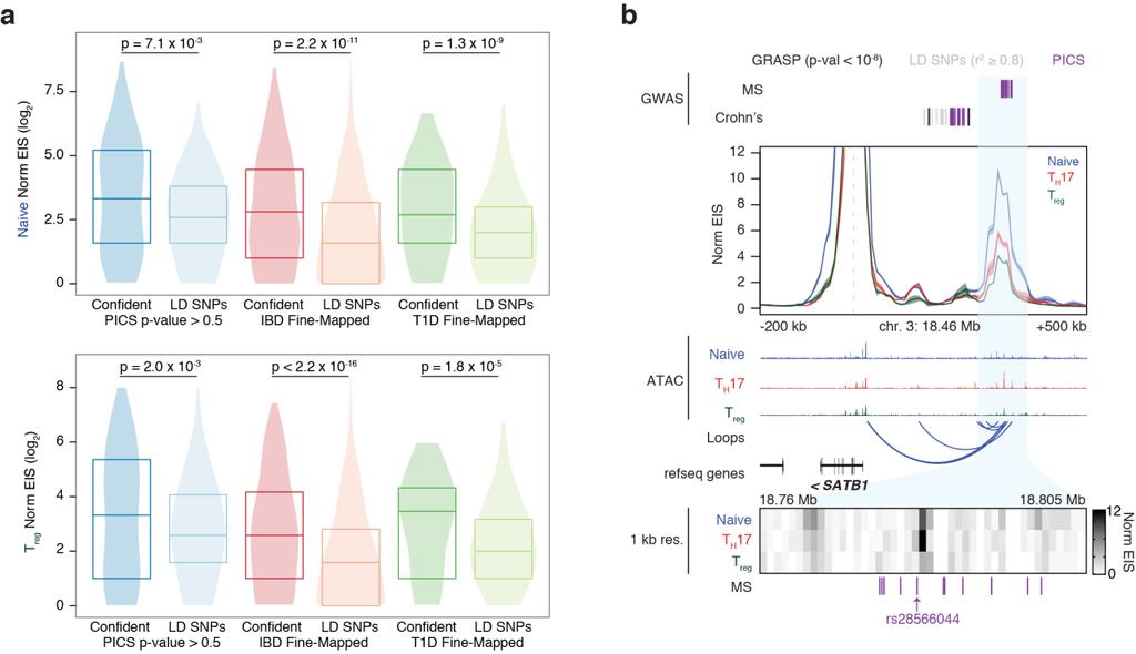 Supplementary Figure 14 H3K27ac HiChIP fine-mapping of GWAS variants in haplotype blocks. (a) Global validation of HiChIP signal at putatively causal SNPs versus corresponding SNPs in LD (r 2 0.