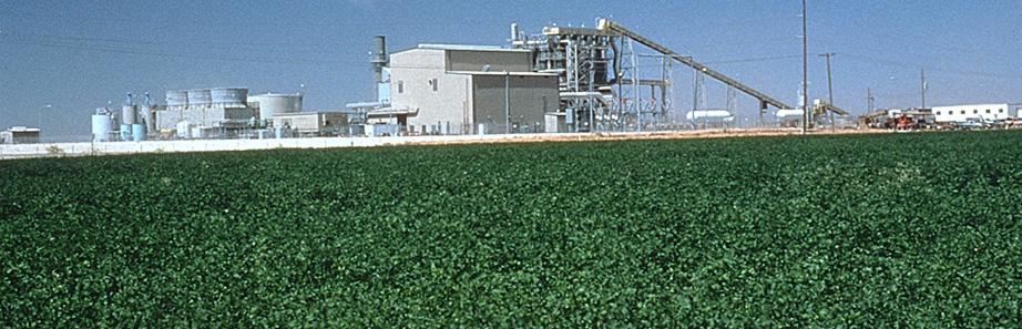 California Cellulosic Feedstock: Biomass to Electricity Plants Closing Biomass-to-Energy Plants Closing in California Inability to compete with 30% Investment Tax Credit subsidies for solar and wind