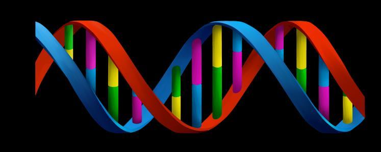 Intended use examples 23andMe Genetic Health Risk for Consumers: The 23andMe Personal Genome Service (PGS) Test uses qualitative genotyping to detect the following clinically