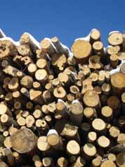 To balance the energy, economic and ecological value of our limited forest resources, we must be strategic about the new commercial scale wood energy projects developed and permitted in Vermont.