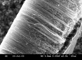 SEM images of the MWNTs from Sample 4 Conclusions The mass of ferrocene was varied between 200 and 400 milligrams (mg).