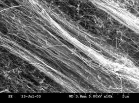 nanotubes formed, but they were too short to be characterized by the SEM.