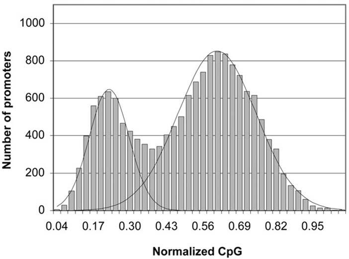x m+1 x n X x 3 A Real Example CpG content of human gene promoters GC frequency A