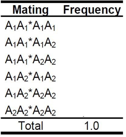 Random Mating: Mating Type Frequencies Denoting the genotype frequency of A i A j by p ij, p 11 p 11 p 1 p 11 p p 1 p 1 p p 17