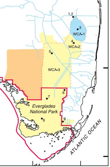 Regional evaluation of evapotranspiration in the Everglades Edward German USGS Water Resources Investigations Report 00 4217 Two years of data collection (1996 1997) Nine stations in multiple