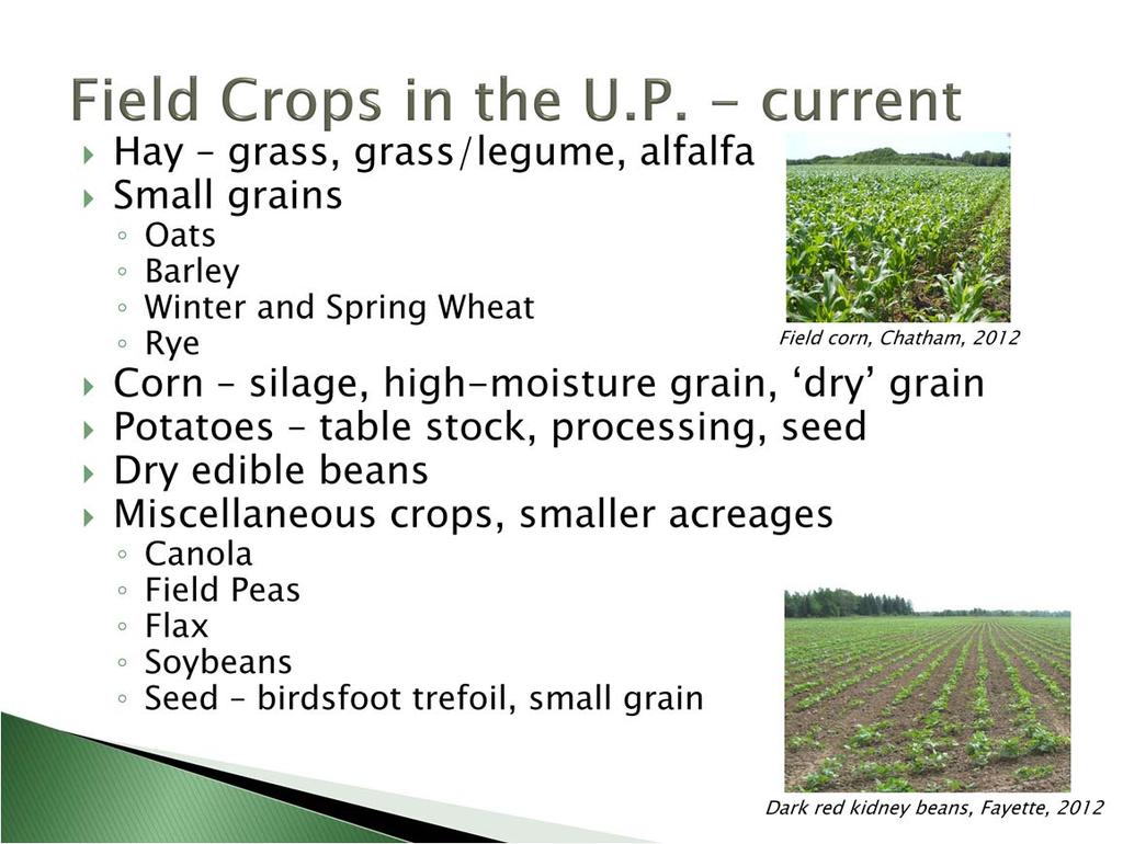 This is a listing of crops I have seen growing on U.P. farms over the years. Forage and small grains dominate.