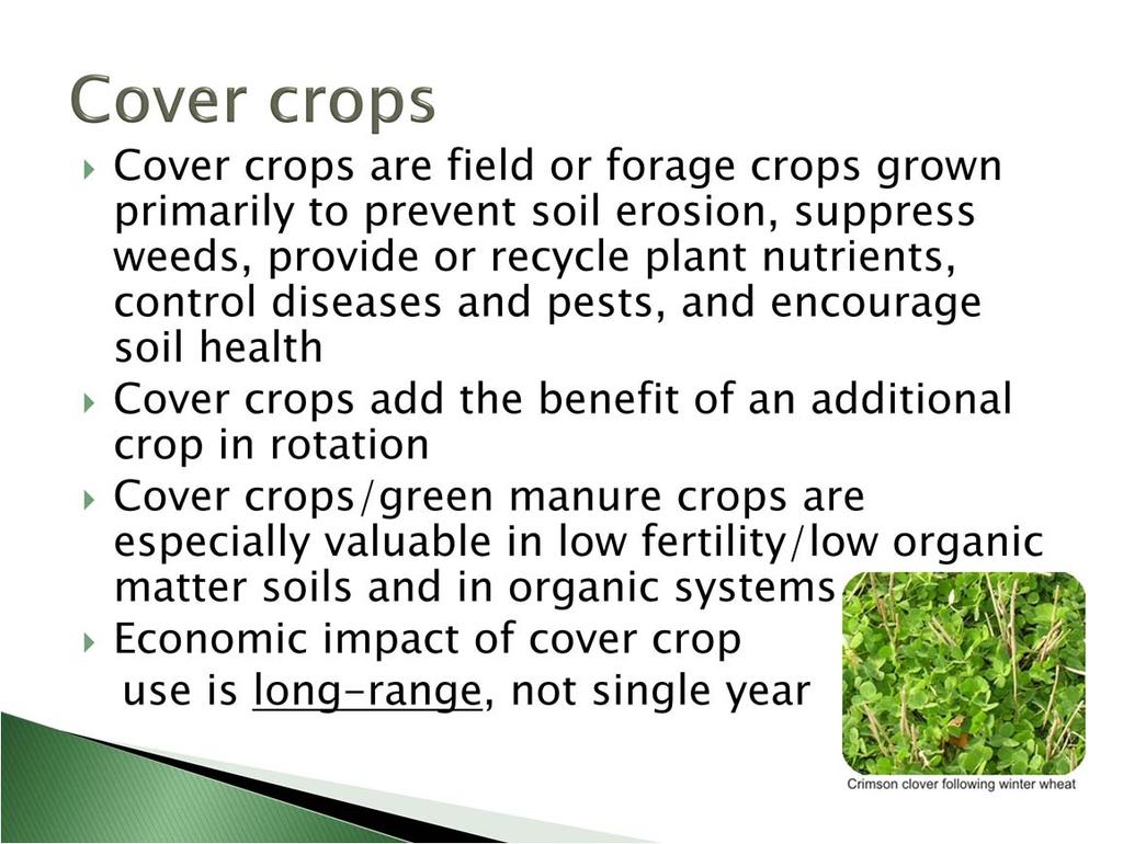 In addition to selling grain, forage and other field crops, some crops are useful as soil builders.