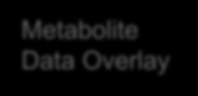 Overlay Metabolite