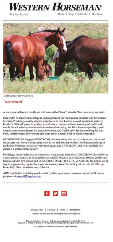 VIP Newsletter/ E-Blasts Western Horseman offers a