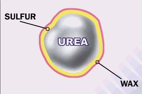 Sulfur coated urea