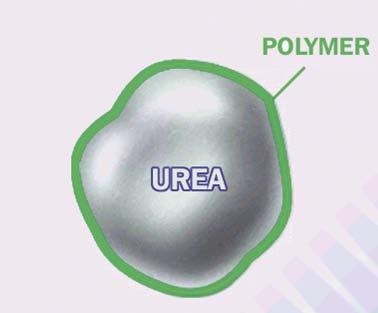 coated Urea (PCU)