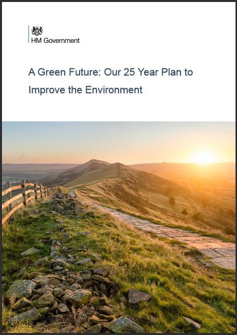 25 Year Environment Plan In 2019, we will update the national flood and coastal erosion risk management strategy, looking to strengthen joint delivery across organisations.