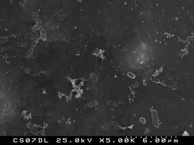 40 Fig. 3. Scanning electron microscopy photos of a 21 days immersed Ti6Al4V coated sample in simulated body fluid. For the second route the sol was prepared mixing a 0.