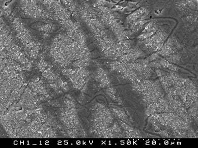 41 Fig. 2. Scanning electron microscopy images of a Ti6Al4V dip coated sample at a withdrawal a speed of 1.2 mm/s.