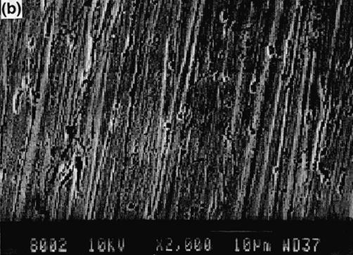 n comparing inhibitive micrographs with that of blank, it is very clear that the inhibition provided by STPP is quite good, similarly for SHMP too, mild steel surface was smooth whereas remarkable
