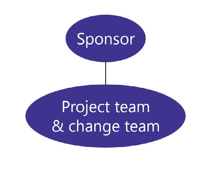 Team Structure D: Change management and project management teams are the same There are certainly advantages and challenges with each model.
