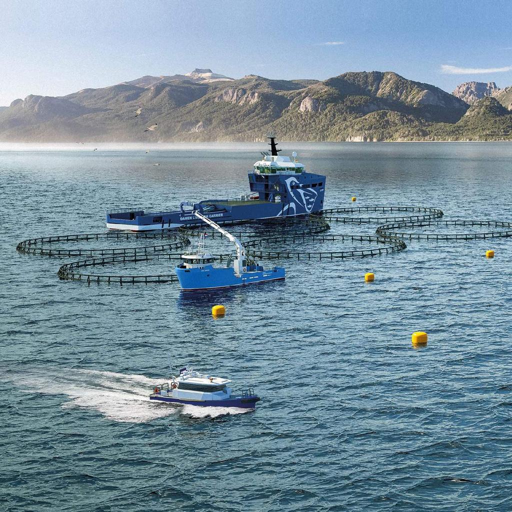 THE AQUACULTURE PORTFOLIO 1 1 LIVE FISH CARRIER Fresh water delousing, transfer of live fish 2 3 4 UTILITY VESSEL Flexible platform for installation, maintenance and delousing operations STAN TENDER