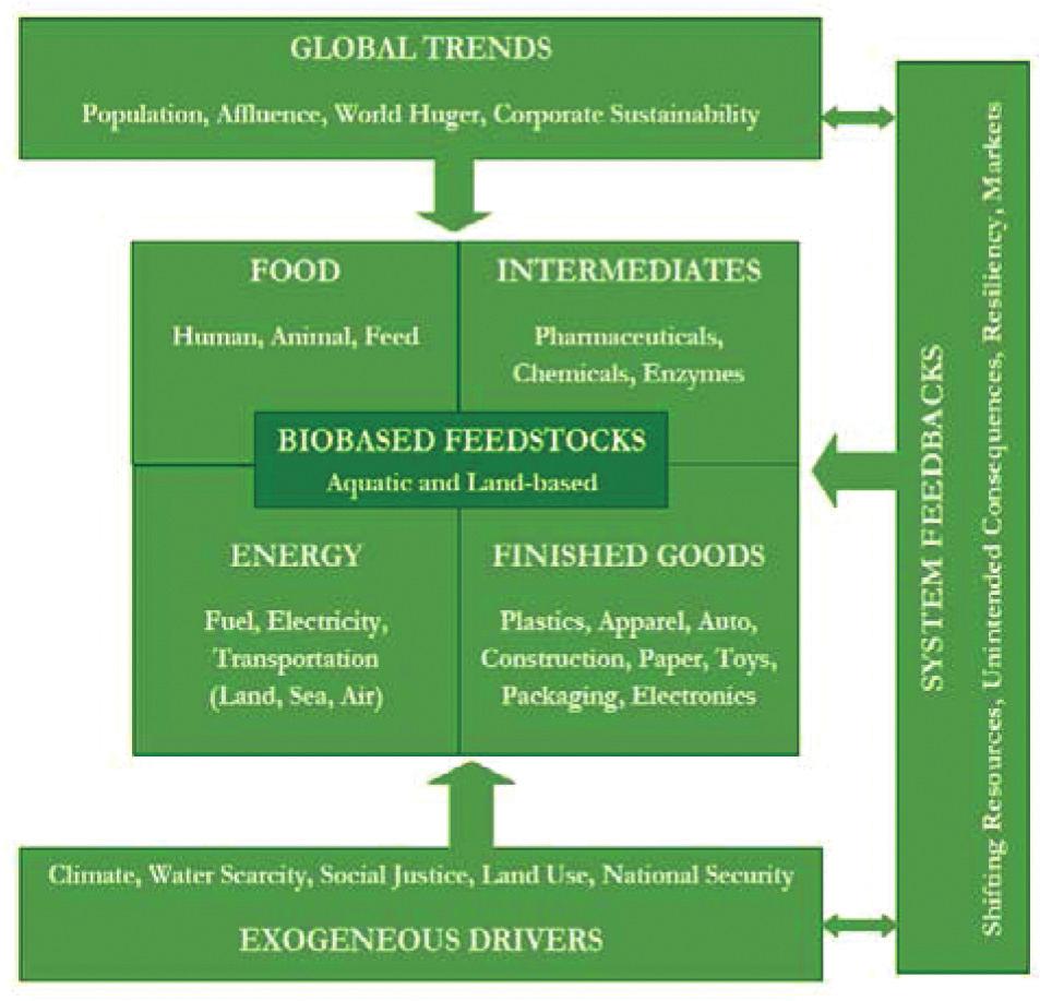 Fig 3. Interactions of the Bioeconomy system maximise the impact on sustainability, whilst at the same time driving the opportunity for profit.
