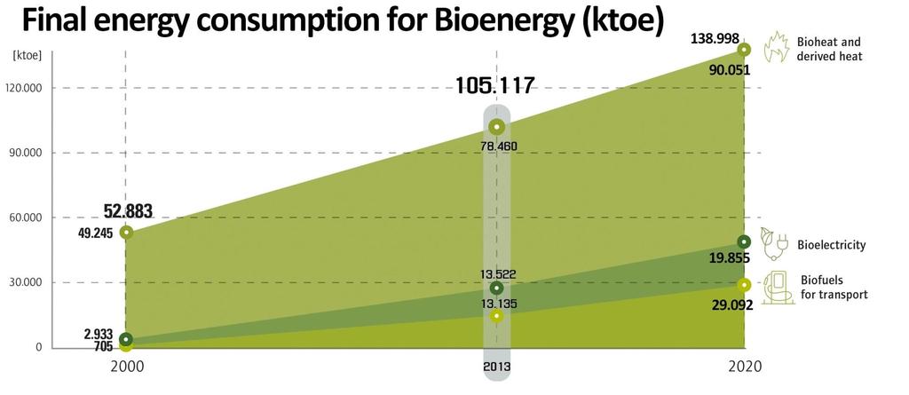 Bioenergy Key Facts Final energy consumption of bioenergy in 2013 was 105 Mtoe, double that of 2000 62% of EU renewable