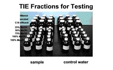 TOXICITY IDENTIFICATION EVALUATION If a toxic result is observed in a test species of interest