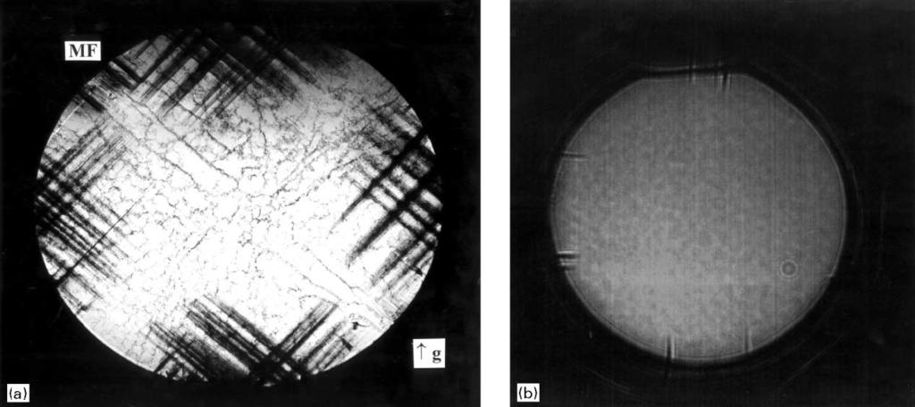 P. Mo ck / Journal of Crystal Growth 224 (2001) 11 20 13 Fig. 1. (a) 0 2 2 single-crystal X-ray transmission topogram, (b) Makyoh topogram of an undoped VGFB GaAs substrate of 0.