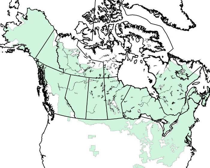 55 Figure 3. Geographic distribution of wood frogs. Wood frogs are the only North American amphibian found north of the Arctic Circle.