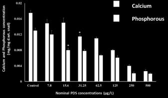 Figure 6.2: Calcium and phosphorous concentrations in control and prednisolone (PDS) treated Murray cod larvae, Maccullochella peelii following 35 d exposure.