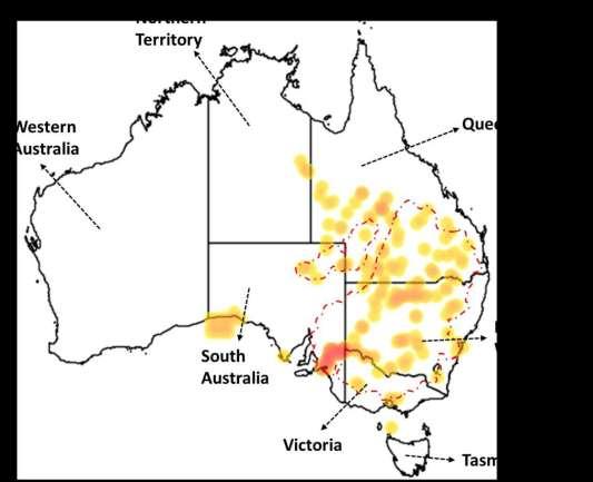 Brumley, 1987). Figure 1.6 shows the distribution of Murray cod and golden perch on an Australian map. Figure 1.6: Pictorial representation of distribution of Murray cod (dashed lines) and golden perch (yellow to red dots) on an Australian map.