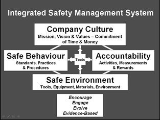 Figure 1 The Four Whats I believe that for good communication of the issues that four main categories of what to manage are alive and well in all organizations.
