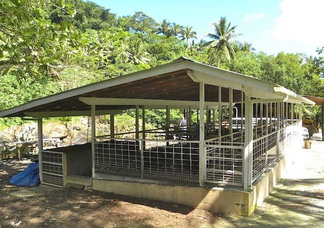 of 15 household pig pens to dry litter system from typical water intensive wash down pens.