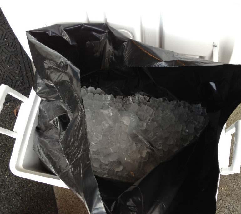 SHIPMENT Ensure spigot is plugged and cooler is not cracked. Pack samples properly: Line cooler w/ large plastic bag. Surround sample bags w/ wet ice.