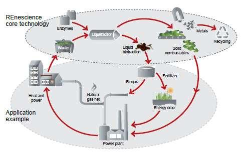 Biogas production based on animal