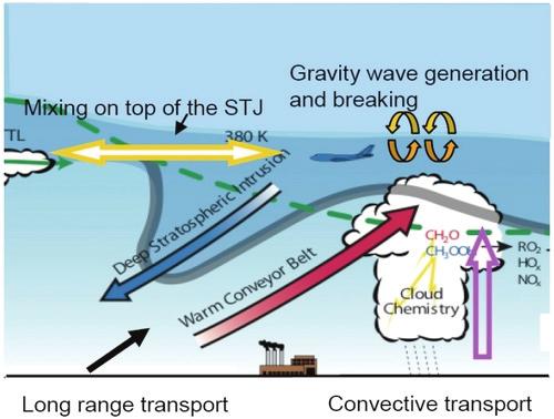 Stratospheric Ozone Transport of anthropogenic emissions can potentially affect stratospheric O 3 Some Short-Lived species can affect chemistry of the stratosphere if
