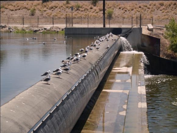 2 new dams in 2008 in San Gabriel River.
