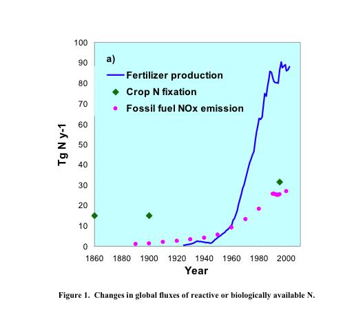 Anthropogenic activity Planting of N fixers, fertilizer production >80 x 10 12 g yr -1 (from N+H at high T) Fossil fuel combustion ~ 20 x 10 12 g yr -1 produces NO x Some NO x transported long