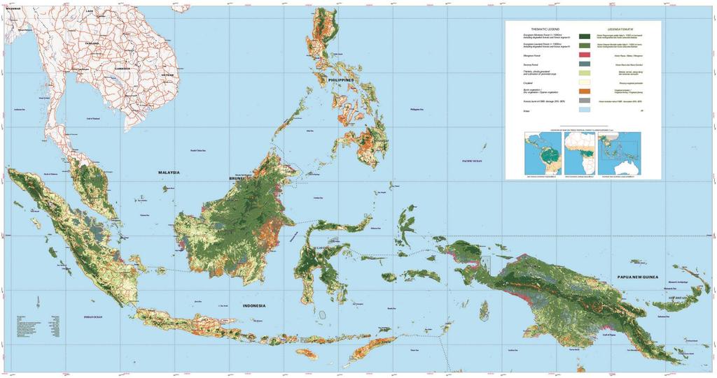 Example of forest cover map for insular Southeast Asia derived from 1 km SPOT VGT imagery Evergreen montane forest Evergreen lowland forest Mangrove forest Swamp forest