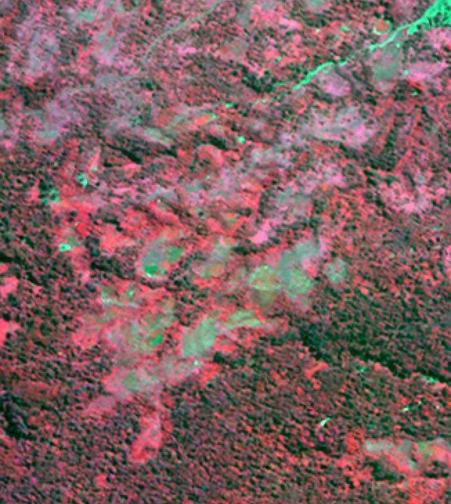resolution (RGB: NIR-R-G) Landsat ETM+ Kompsat-2 Source: