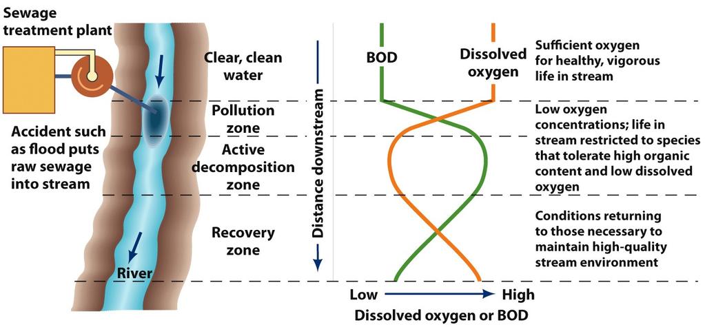 Biochemical Oxygen Demand (BOD) Three zones are iden6fied a"er a spill Pollu6on zone High BOD Ac6ve