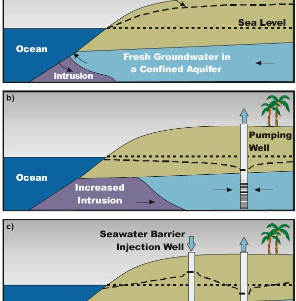 Saltwater Intrusion Saltwater intrusion is the movement of saline water into freshwater aquifers, which can lead to contamination of drinking water sources and